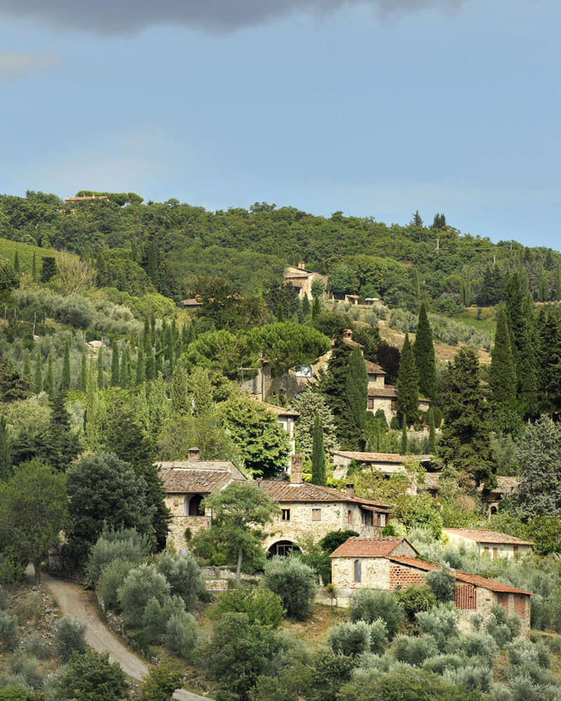 San Donatino, Azienda Vinicola Biologica: panorama ampio della villa immersa nella vegetazione verde e rigogliosa del territorio